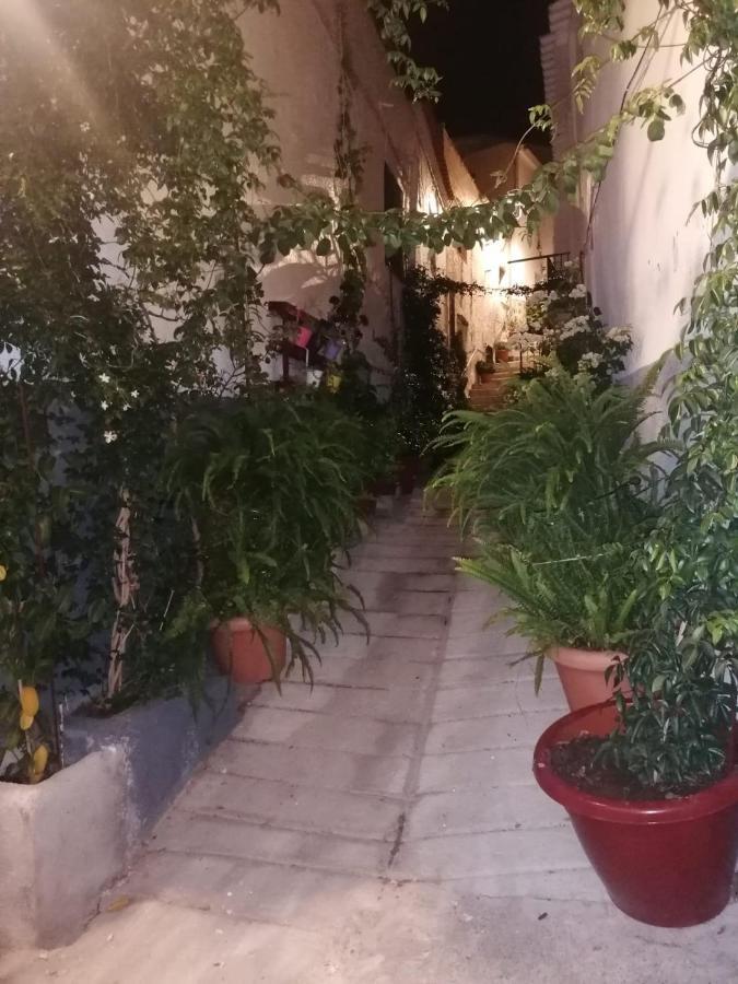 הוילה Rubite  Casa Amat מראה חיצוני תמונה